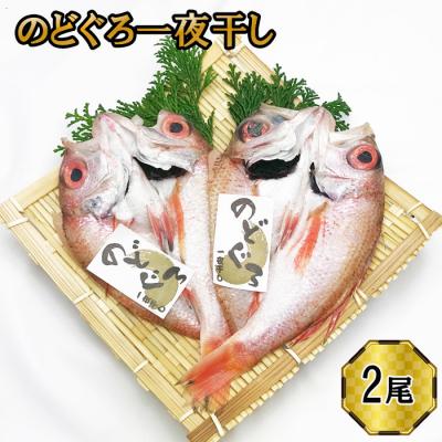 ふるさと納税 出雲市 のどぐろ　一夜干し2尾セット【1_3-022】