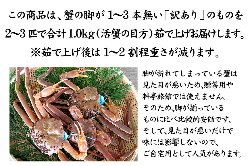 石川県産 加能かに ズワイガニ ( 産地証明タグ付 ) 訳あり 足折れ 小サイズ 2～3匹 合計1.0kg 11月10日～12月15日発送 産地証明 訳あり 家庭用 自宅用 足折れ 先行予約 予約 ブ