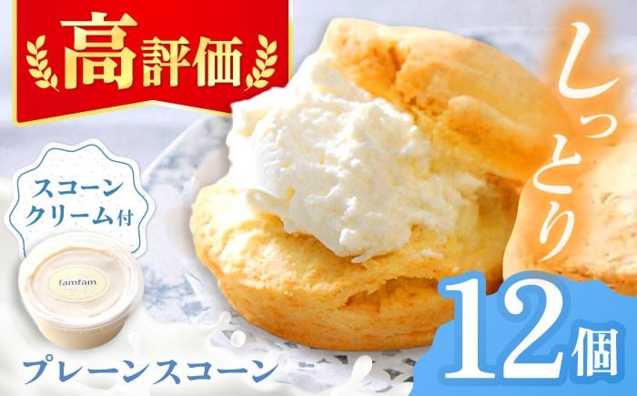 
            【スコーン専門店の大人気商品】 プレーン スコーン セット 12個入 スコーンクリーム付き スコーン お菓子 おやつ スイーツ すこーん ギフト 焼き菓子 人気 プレゼント 贈答 冷凍スコーン 紅茶 スイート 手作り セット 詰合せ 洋菓子 焼菓子 個包装 多治見市 / famfam [TAK001]
          