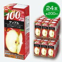 【ふるさと納税】毎日牛乳 毎日100%アップル 200ml紙パック×24本入_ アップルジュース りんごジュース リンゴ 林檎 アップル 紙パック 果汁100％ 果実飲料 24本入 果物 くだもの フルーツ 飲料 ジュース ドリンク 常温保存 贈答 ギフト プレゼント 送料無料 【1282176】