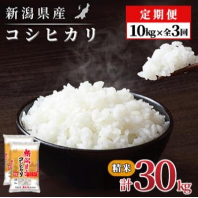 ふるさと納税 見附市 【毎月定期便】【3か月定期便】新潟県産 コシヒカリ 10kg (精米)全3回