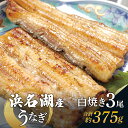 【ふるさと納税】国産うなぎ 浜名湖産 白焼き 大 3本 (125g×3本) 山椒 たれ セット 詰め合わせ 海老仙 国産ウナギ 国産 ウナギ 鰻 白焼き 白焼きうなぎ 小分け おすすめ 贈答用 ギフト 冷凍 静岡 静岡県 浜松市