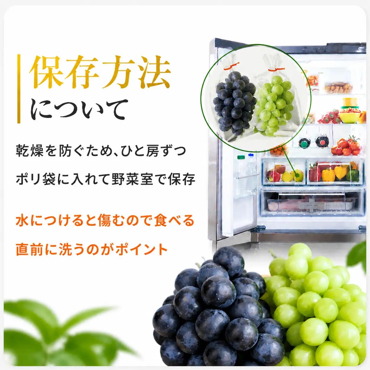 【先行予約】【数量限定】宮内果樹観光園のシャインマスカット 約2kg 5房前後 | フルーツ 果物 くだもの ぶどう ブドウ 葡萄 シャインマスカット マスカット 産地直送 国産 大分県 中津市