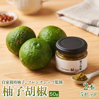 ふるさと納税 神河町 【ひとさじで料理が引き締まる】柚子胡椒(瓶)50g ×2本 5セット