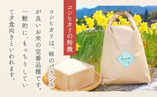 コシヒカリは、味のバランスが良いお米の定番品種です。
一般的に、もっちりしていて夕食向きと言われます。