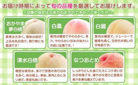 【先行予約】岡山の白桃 等級 ロイヤル 約1.5kg(5～6玉) 清水白桃 おかやま夢白桃 白鳳 白麗 なつおとめ 晴れの国 岡山農業協同組合 鴨方支店 《7月上旬-8月下旬頃出荷》岡山県 浅口市 岡