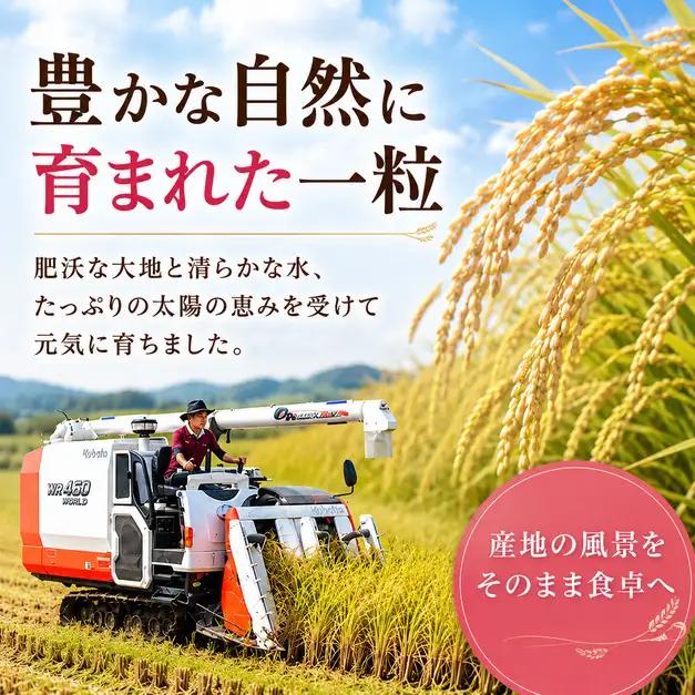 あきたこまち 5kg （茨城県共通返礼品・ひたちなか市産）
