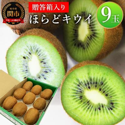 ふるさと納税 関市 関市名産　洞戸キウイフルーツ9玉(贈答箱入)【12〜1月に順次発送】