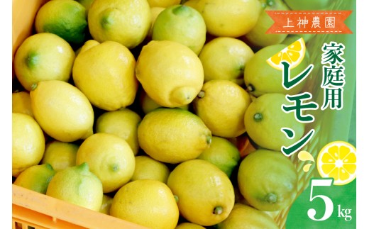 【先行受付】【2026年11月～発送】上神農園 家庭用 広島産 レモン 約5kg ku011-035-26