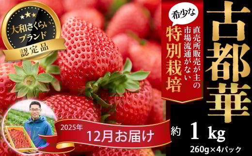 M-DB3.【2025年12月発送】減農薬いちご「古都華」4パック 特別栽培農産物