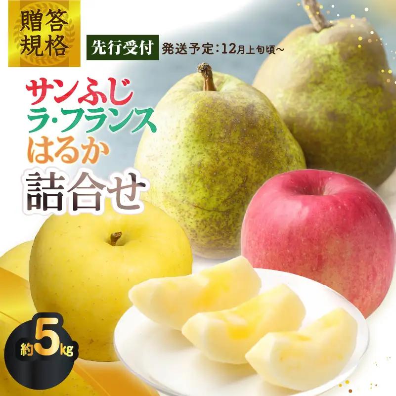 《先行受付》贈答規格「サンふじ」「ラフランス」「はるか」約5kg詰合せ（特秀～秀）【2026年12月上旬～発送予定】【大江町産・山形りんご・りんご専科 清野】 015-065