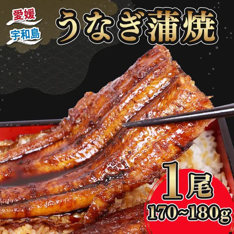 うなぎ蒲焼き 1尾 170g~180g 河野鮮魚店 (蒲焼たれ入) 【D013-177002】