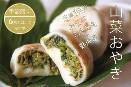 【春限定6/30迄】黒姫高原の山菜を味わう！もちもち手づくり山菜おやき3種12個【長野県 信州 信濃町 ふるさと納税／こなもん屋ジロー】
