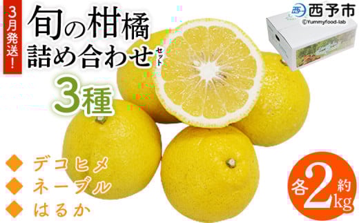 ＜3月発送！旬の柑橘 詰め合わせセット 3種×各2kg＞ 果物 フルーツ みかん ミカン 蜜柑 柑橘 オレンジ ブラッドオレンジ なつみ はるか ネーブル ポンカン 甘夏 特産品 宇都宮物産 愛媛県 西予市【常温】『3月に順次出荷予定』