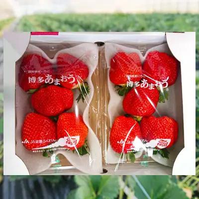 【先行予約／2027年出荷】厳選大粒あまおう（4パック） 3LA2