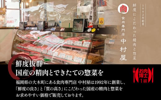 中村屋特製 手づくりハンバーグ/国産黒毛和牛もつ鍋セット＋手作りつみれ付き AM004
