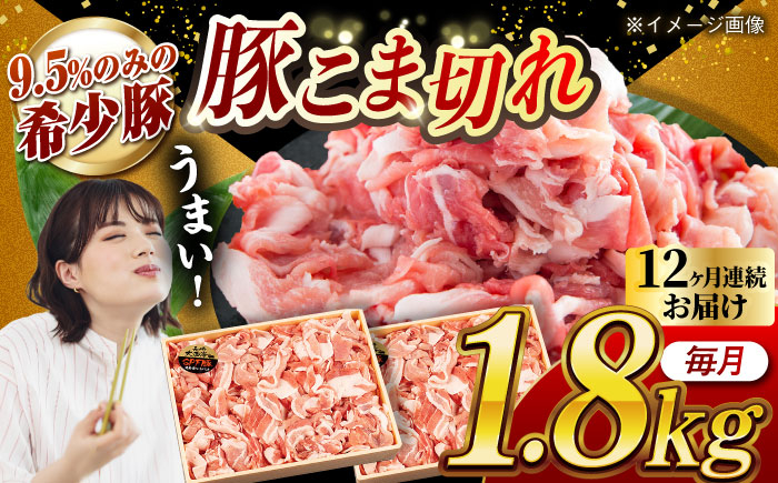 
            【月1回約1.8kg×12回定期便】大西海SPF豚 こま切れ 計約21.6kg 長崎県/長崎県農協直販 [42ZZAA055]
          