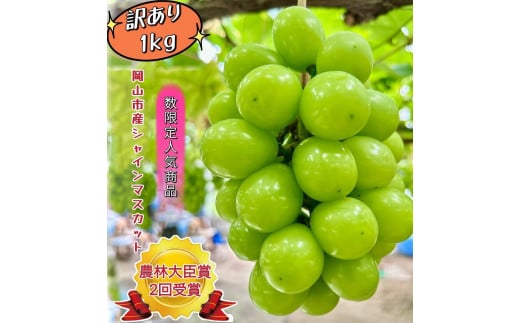 ぶどう 2026年  家庭用 シャインマスカット 約1kg | 岡山 国産 果物 訳あり フルーツ シャイン マスカット2026年7月中旬から発送