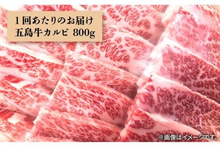 【全6回定期便】五島牛 カルビ800g 五島市 / 肉のマルヒサ [PCV024] カルビ 牛カルビ お取り寄せ牛カルビ 和牛牛カルビ A4 A5 カルビ 牛カルビ お取り寄せ牛カルビ 和牛牛カルビ 
