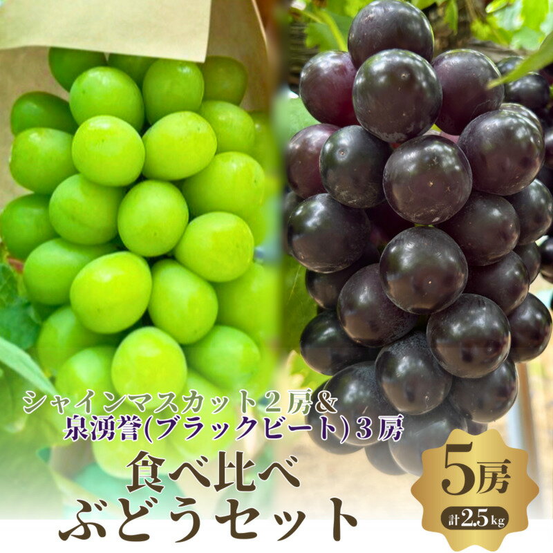 【ふるさと納税】食べ比べ人気ぶどう　シャインマスカット2房+泉湧誉3房　5房セット　お届け：2025年8月中旬～9月下旬まで