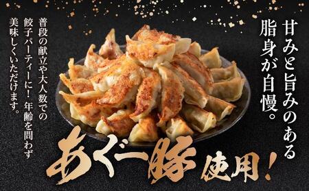 【美ら島あぐ～】餃子（20個入り／1パック×20個入り）