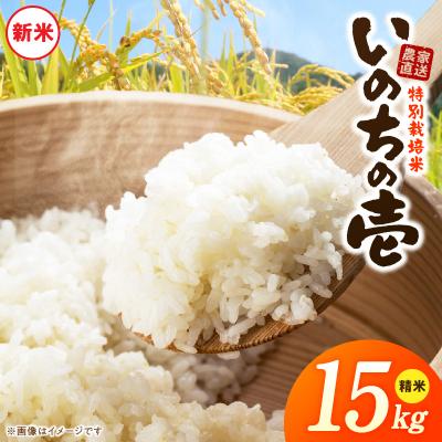 ふるさと納税 小牧市 【R8年産新米 先行受付】特別栽培米「いのちの壱」(15kg)<農家直送> [208K03]