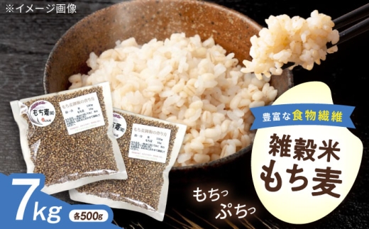もち麦 内子町産もち麦7kg ／  国産 雑穀米 もち麦 モチ麦 もちむぎ モチムギ ごはん 米 ぷちぷち ご飯 お米 白米 おいしい 穀物 大麦 食物繊維 βグルカン 健康 雑穀 ダイシモチ 愛媛 内子町 ふるさと納税 お取り寄せ ギフト 特産品 四国 返礼品 愛媛県 内子 お礼 産地直送 贈り物 おすすめ 送料無料 【株式会社内子フレッシュパークからり】 [BKAD014]