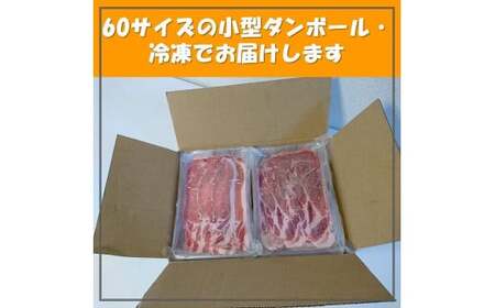 【豚肉1.1kg!いろいろな料理に使えます】千葉県産 豚肉うす切り+みそ漬け 肉 薄切り うす切り 味噌漬け 豚肉 豚 千葉県産 ブランド豚 満喫 セット 千葉県 銚子市