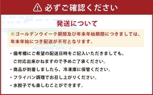 【年3回定期便】にんにくたっぷり 伝説の塩ぎょうざ 100個×3回 合計300個 餃子 ぎょうざ 惣菜 お惣菜 中華