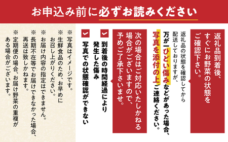 【定期便】 旬の野菜 フルーツ 詰め合わせ 6回定期便 ～ 12品 野菜ソムリエ 厳選 野菜セット