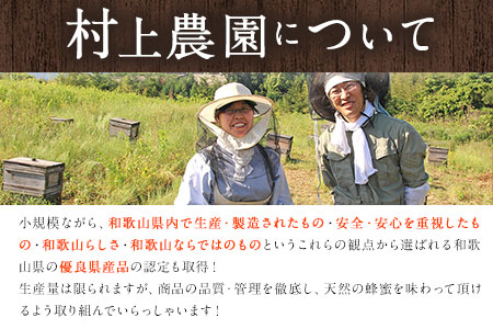 ほんまもん蜜柑（みかん）蜂蜜 600g×1本 村上養蜂《30日以内に出荷予定(土日祝除く)》和歌山県 紀の川市