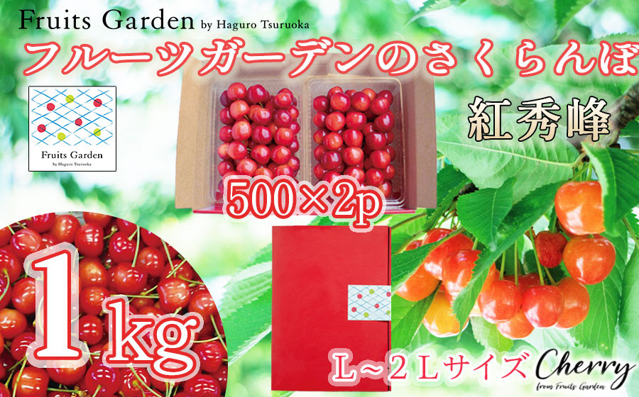 
                  【令和9年産】フルーツガーデンのさくらんぼ 〈紅秀峰〉 バラ詰め L～2Lサイズ 1kg(500g×2)　山形県鶴岡市　|  サクランボ チェリー 紅秀峰 果物 くだもの フルーツ 1キロ 甘い 完熟 旬 産地直送 果汁  人気 美味しい 2027年 お取り寄せ 庄内地方 東北 返礼品 
                