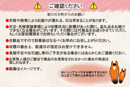 ＜2026年4月上旬より順次発送＞ 北海道産 春採り ムラサキ アスパラガス 1kg 2Lサイズ ＜予約受付＞