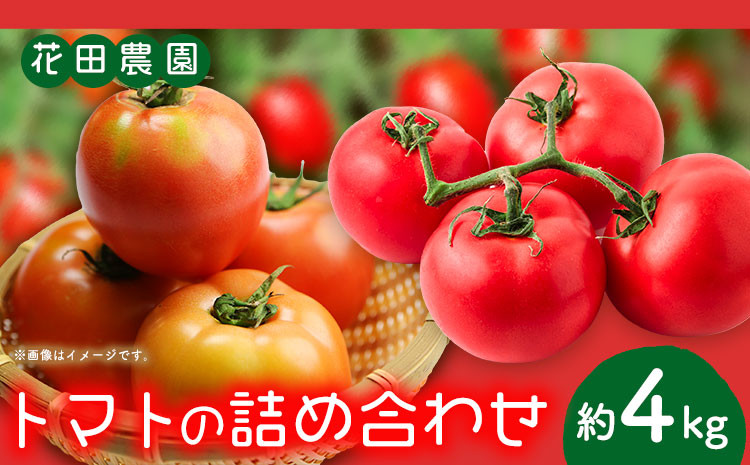 
トマト2種の詰め合わせセット 約4kg 花田農園《6月上旬-7月末頃出荷(土日祝除く)》
