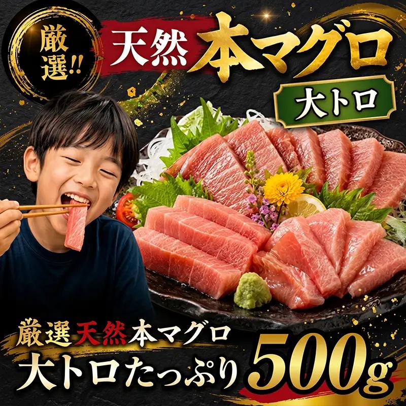 本まぐろ 大トロ 約500g まぐろ【ge013】