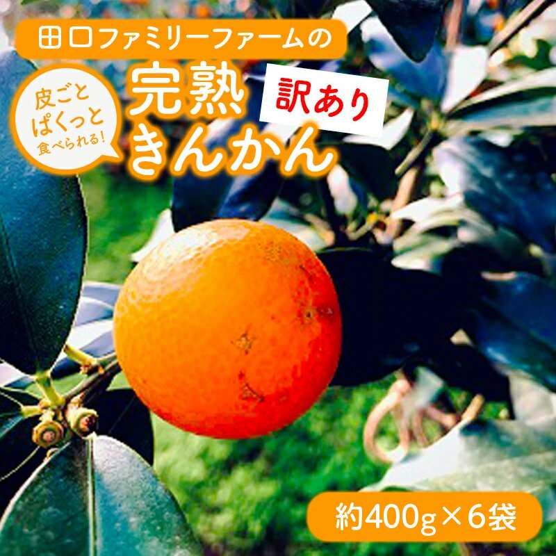 【ふるさと納税】【訳あり】完熟きんかんLサイズ 約400g×6袋（2月発送開始）キンカン 金柑 果物 フルーツ 柑橘 国産 宮崎県延岡市 送料無料