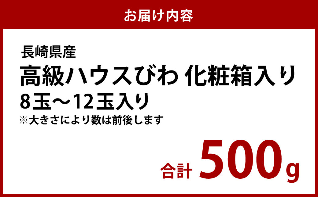 長崎 高級 ハウス びわ 化粧箱入り 500g 枇杷 ギフト 贈答用 果物 フルーツ くだもの