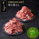 【ふるさと納税】＼小分けで使いやすい／ 牛肉 切り落とし 容量が選べる 500g 〜 2kg | 馬場牛 黒毛和牛 お肉 肉 牛 料理 すき焼き しゃぶしゃぶ 炒め物 牛丼 肉じゃが おすすめ 切落とし 切り落し 国産肉 冷凍 人気 ご当地 お取り寄せ グルメ 送料無料