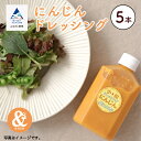 【ふるさと納税】 にんじんドレッシング 5本 グルメ お取り寄せ SDGz エコ ECO 人気 ランキング おすすめ 健康 ダイエット お中元 お歳暮 ギフト 小松市 こまつ 石川県 ふるさと 故郷 納税 009061【あんずの木】