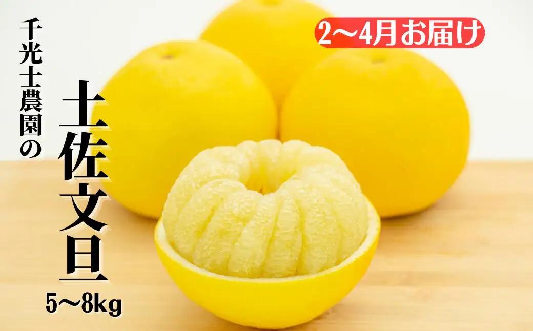 安芸市フルーツ定期便 4回【フルーツ定期便】