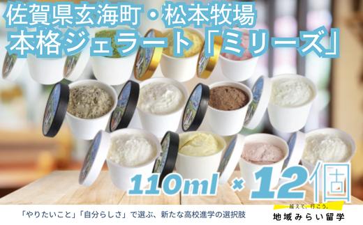 
                  【セット】本格ジェラート「ミリーズ」110ml×12(ミルク2個・バニラ2個・いちごミルク・チョコ・抹茶・黒ごまきなこ・焼いも・ヨーグルト・いちご・みかん)
                