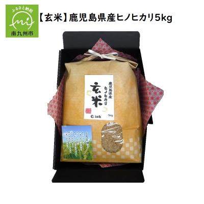 ふるさと納税 南九州市 【玄米】鹿児島県産ヒノヒカリ5kg