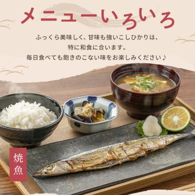 ふるさと納税 妙高市 2026年3月上旬発送 新潟県妙高産コシヒカリ5kg |  | 01