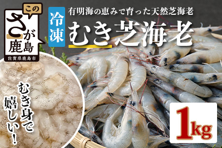 佐賀県有明海産 天然芝海老むき身(加熱用) 1kg(100g×10袋）｜海老 エビ 剥き 真海老 国産 加熱用 使い切り 水洗い不要 簡単調理 ストック 主婦の味方 佐賀県鹿島市 人気 送料無料　C-146