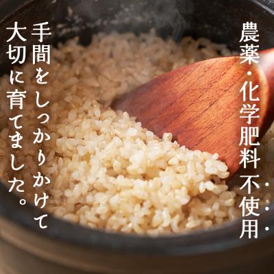 ふるさと納税 西予市 新米<令和7年産 西予市産 特別栽培米 エコえひめ コシヒカリ 玄米 約3kg>国産 |  | 01