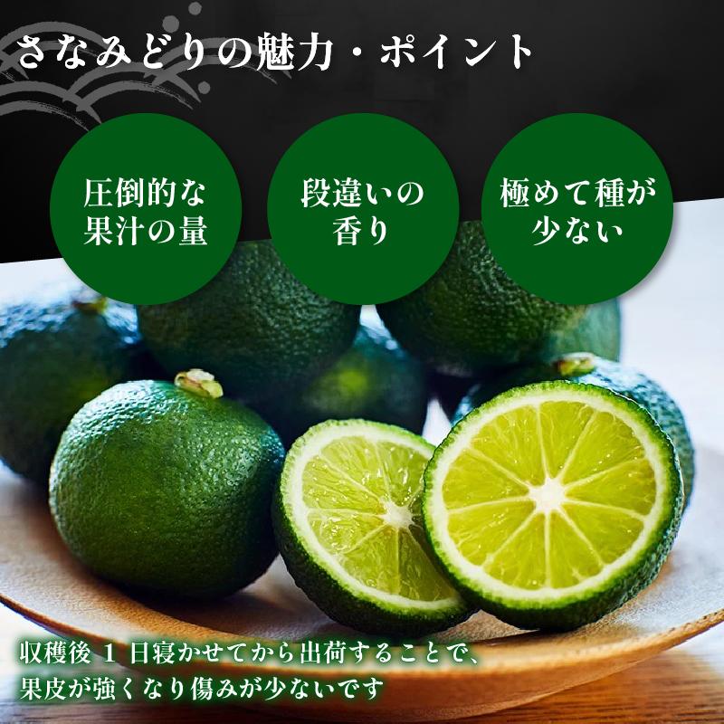 すだち 1kg 徳島県産 8月から10月末まで発送 先行予約 魚 ホタテ 鮭 サーモン さば ぶり まぐろ うなぎ さんま 刺し身 肉 牛タン ステーキ 牛肉 豚肉 鶏肉 そうめん 米 ご飯 寿司 パ