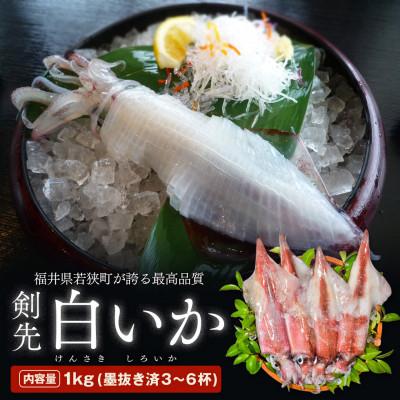 ふるさと納税 若狭町 若狭湾産 白イカ(剣先イカ) 3〜6杯 (スミ抜き/冷凍)