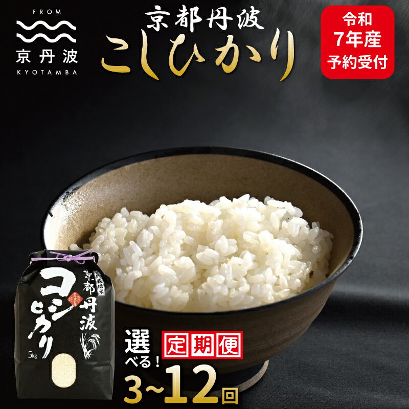 【ふるさと納税】《先行予約》 【定期便】 京丹波こしひかり 5kg 10kg 3カ月 6カ月 12カ月 選べる定期便 令和7年産 精米 京都 コシヒカリ ※北海道・東北・沖縄・その他離島は配送不可
