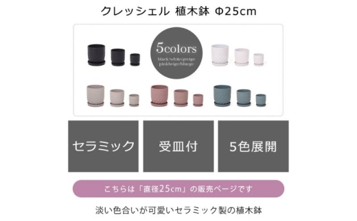 植木鉢 Φ25 crescere クレッシェル グレージュ セラミック 約 8号 フラワーポット プランター 鉢 受け皿 大型 観葉植物 おしゃれ くすみカラー ガーデニング用品 ガーデニング 園芸 インテリア 兵庫 兵庫県 小野市