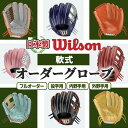 【ふるさと納税】＜種類が選べる！＞Wilson 軟式オーダーグローブ(1個) 阿久根市 特産品 スポーツ グラブ オーダー 野球 職人 オーダーメイド 子ども フルオーダー セミオーダー イージーオーダー 【アクネスポーツ】